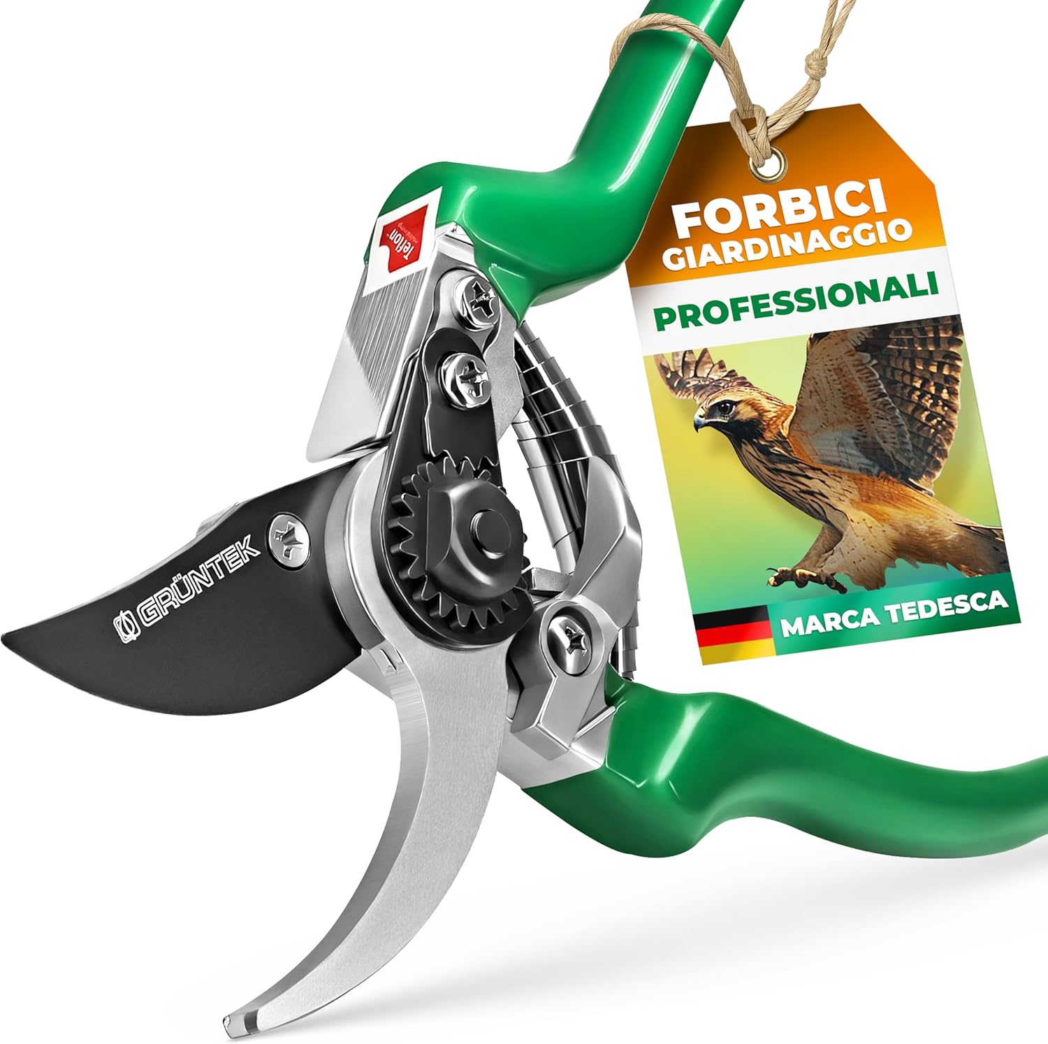 Scegliere il miglior set di forbici e cesoie manuali per la potatura di fine inverno