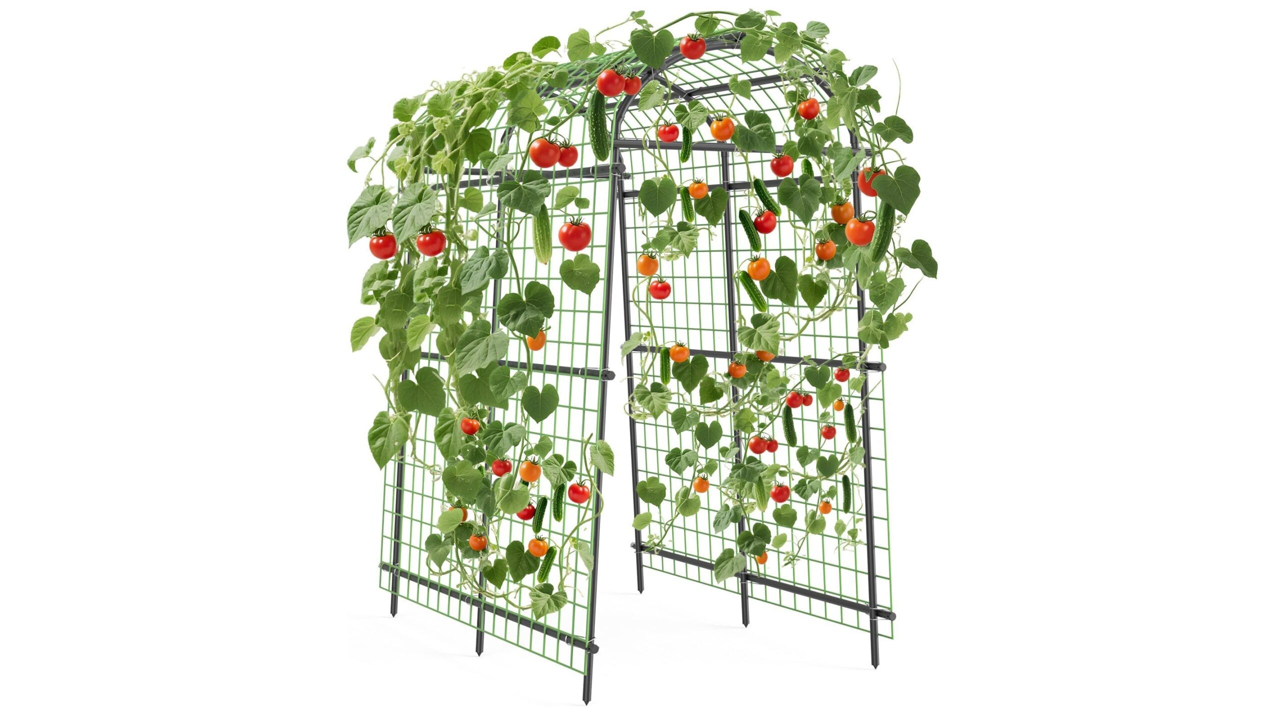 Arco da giardino RBFGYIOP per piante rampicanti, struttura in metallo in sconto ideale per rose e clematidi
