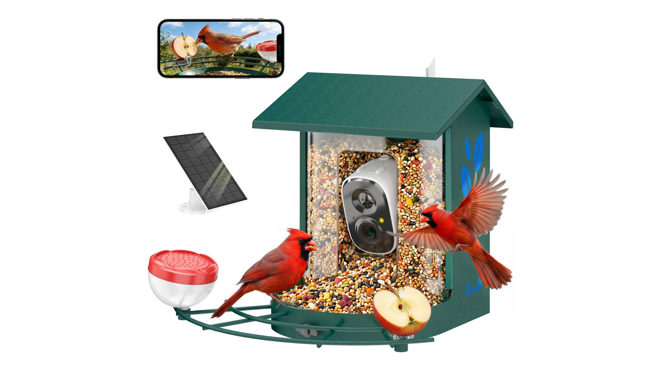 PawHut mangiatoia per uccelli con telecamera intelligente, il birdwatching hi-tech direttamente dal tuo giardino